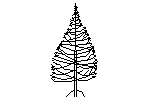 Fir